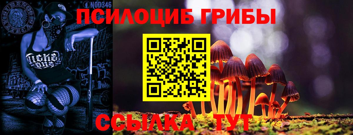 Галлюциногенные грибы Cubensis  Вход с VPN  Конаково 