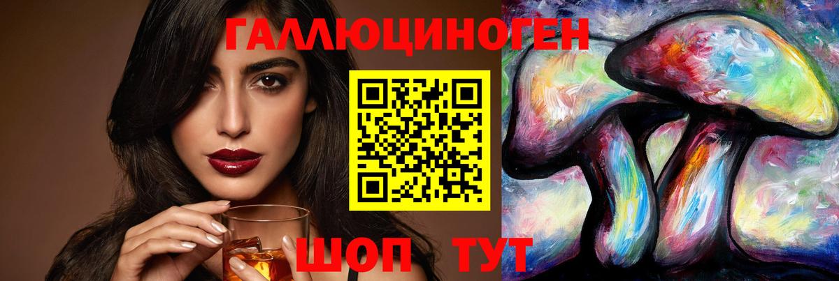 Псилоцибиновые грибы Psilocybe Конаково